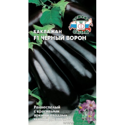 Баклажан Черный Ворон F1 Седек Ц