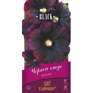 Мальва Черные глаза Гавриш Ц