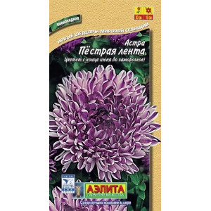 Астра Пестрая Лента Аэлита Ц Астра Пестрая Лента Аэлита Ц