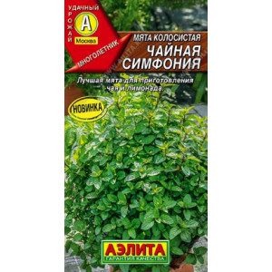 Мята Чайная симфония колосистая Аэлита Ц