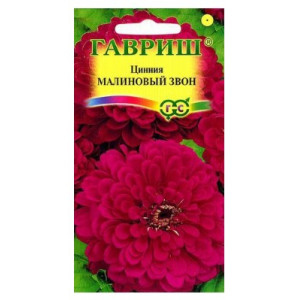 Цинния Малиновый звон Гавриш Ц
