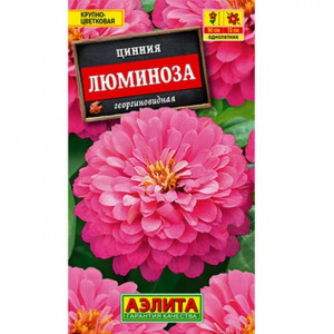 Цинния Люминоза Георгиновидная Аэлита Ц