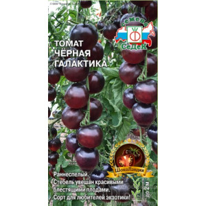 Томат Черная галактика Седек Ц