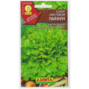 Салат Тайфун ЛИСТОВОЙ,ЗЕЛЕНЫЙ Аэлита Ц