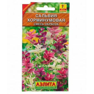 Сальвия Хорминумовая, смесь окрасок, Аэлита Ц