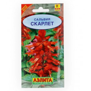 Сальвия Сверкающая Скарлет КРАСНАЯ Аэлита Ц
