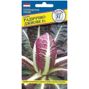 Салат Радиччио Джиове Престиж ц