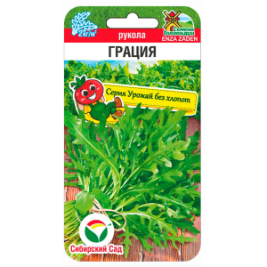 Рукола Грация СибСад Ц