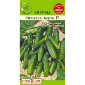 Огурец Козырная Карта F1/Сем Алт/цп 5 шт. Огурец Козырная Карта F1/Сем Алт/цп 5 шт.