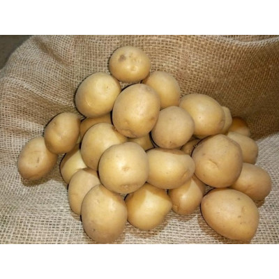 Картофель Ривьера 1кг