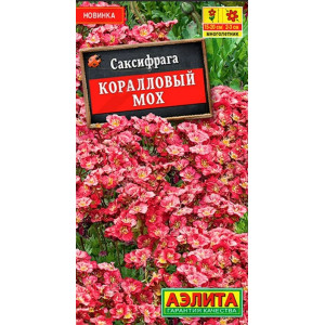 Саксифрага Коралловый мох Аэлита Ц Саксифрага Коралловый мох Аэлита Ц