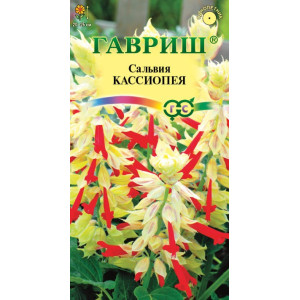 Сальвия Кассиопея карликовая Гавриш Ц Сальвия Кассиопея карликовая Гавриш Ц