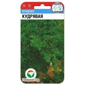 Петрушка КУДРЯВАЯ СС Ц