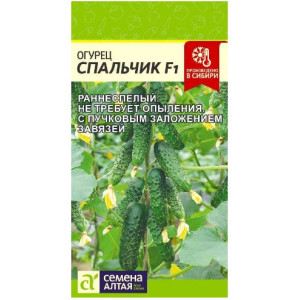 Огурец Спальчик Семена Алтая