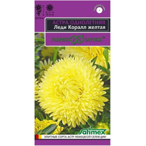 Астра Леди Корал Желтая Гавриш Ц Астра Леди Корал Желтая Гавриш Ц