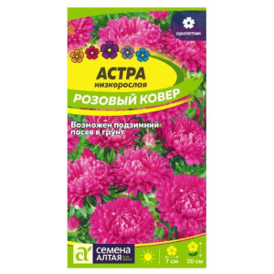 Астра Розовый ковер низкорослая Семена Алтая Ц Астра Розовый ковер низкорослая Семена Алтая Ц