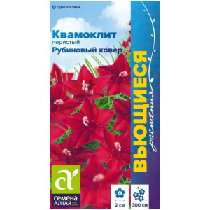 Ипомея Квамоклит Рубиновый ковер Семена Алтая Ц Ипомея Квамоклит Рубиновый ковер Семена Алтая Ц