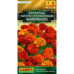 Бархатцы Файерболл откл. Аэлита Ц