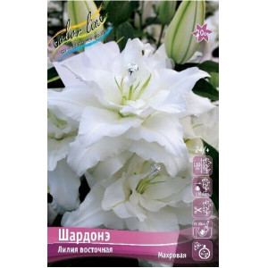 Лилия Шардонэ, 12/14, вост.махр