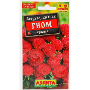 Астра Гном красная Аэлита Ц Астра Гном красная Аэлита Ц