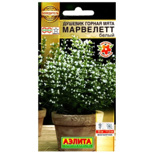 Душевник Горная мята Марвелетт Аэлита