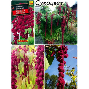 Амарант Елочная игрушка Аэлита Ц