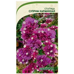 Статица Суприм Карминная Садовита Ц Статица Суприм Карминная Садовита Ц