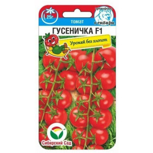 Томат Гусеничка СС Ц