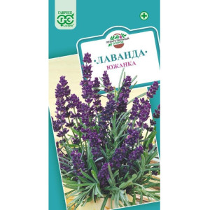 Лаванда Южанка Гавриш Ц Лаванда Южанка Гавриш Ц