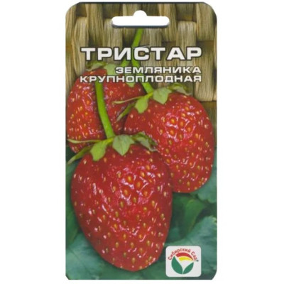 Клубника Тристар СС Ц