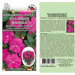 Бальзамин Лоллипоп Малина ЗСА Ц Бальзамин Лоллипоп Малина ЗСА Ц