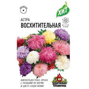Астра Восхитительная Гавриш Ц Астра Восхитительная Гавриш Ц