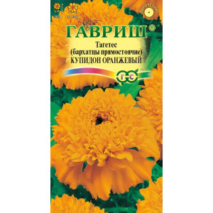 Бархатцы Купидон Оранжевый Гавриш Ц Бархатцы Купидон Оранжевый Гавриш Ц