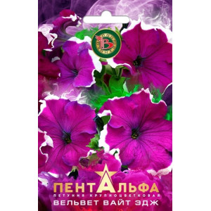 Петуния Пентальфа Вельвет Вайт Эдж Биотехника Ц