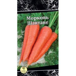 Морковь Шантанэ Ц Волжский сад