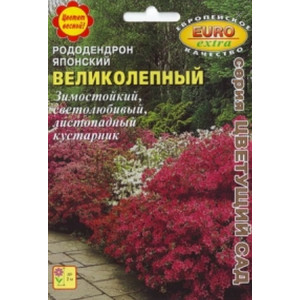 Рододендрон великолепный японский Аэлита Экстра Ц Рододендрон великолепный японский Аэлита Экстра Ц