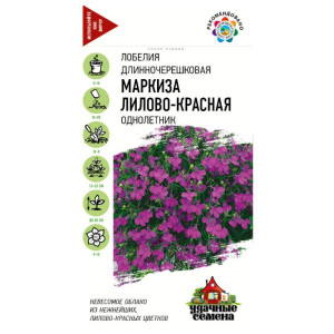 Лобелия Маркиза лилово-красная, ампельная Гавриш Ц Лобелия Маркиза лилово-красная, ампельная Гавриш Ц