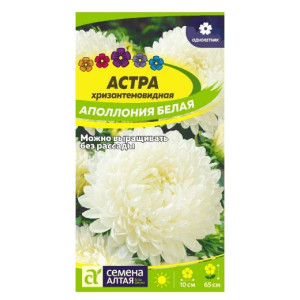 Астра Аполлония Белая Семена Алтая Ц