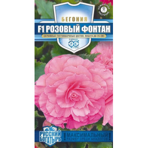 Бегония Розовый фонтан Русский Богатырь Гавриш Ц