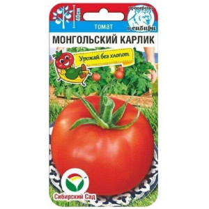 Томат Монгольский Карлик СС Ц Томат Монгольский Карлик СС Ц