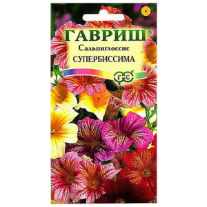 Сальпиглоссис Супербиссима Гавриш Ц Сальпиглоссис Супербиссима Гавриш Ц