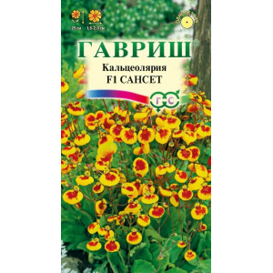 Кальцеолярия Сансет Гавриш Ц Кальцеолярия Сансет Гавриш Ц