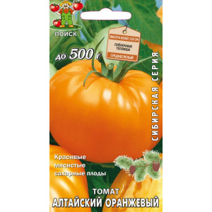Томат Алтайский оранжевый Поиск Ц
