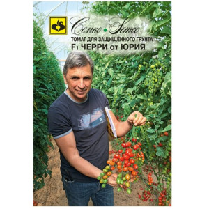 Томат Черри от Юрия Семко Ц