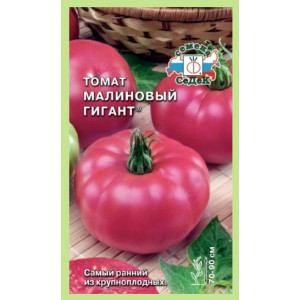 Томат Малиновый гигант Седек Ц