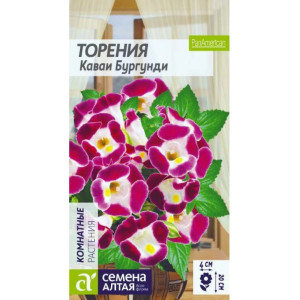 Торения Каваи Бургунди Семена Алтая Ц Торения Каваи Бургунди Семена Алтая Ц