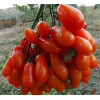 Томат Фляшен (Flaschentomaten) Германия коллекционные сорта
