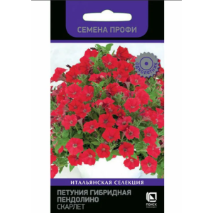 Петуния Пендолино Скарлет Поиск Ц