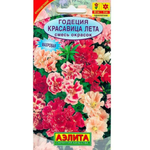 Годеция Красавица лета Аэлита Ц Годеция Красавица лета Аэлита Ц