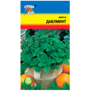 Мята Даблминт Урожай у дачи Ц